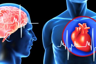 Чем отличается инфаркт от инсульта