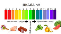 Вся правда об рН балансе человека